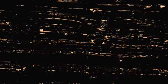 Golden Protoro 1