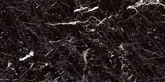 Tauras Black 1