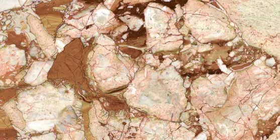 Stony Multy 1