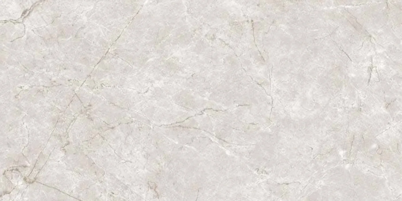 Dywyne Grigio 1