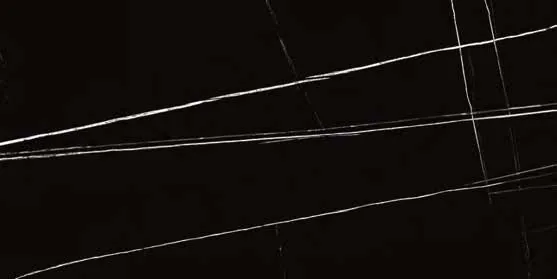 Auriga Black 1