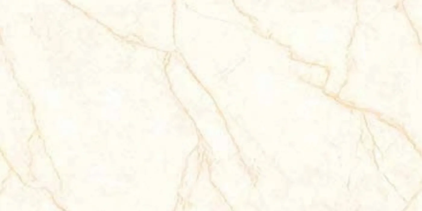 Spider Crema 1