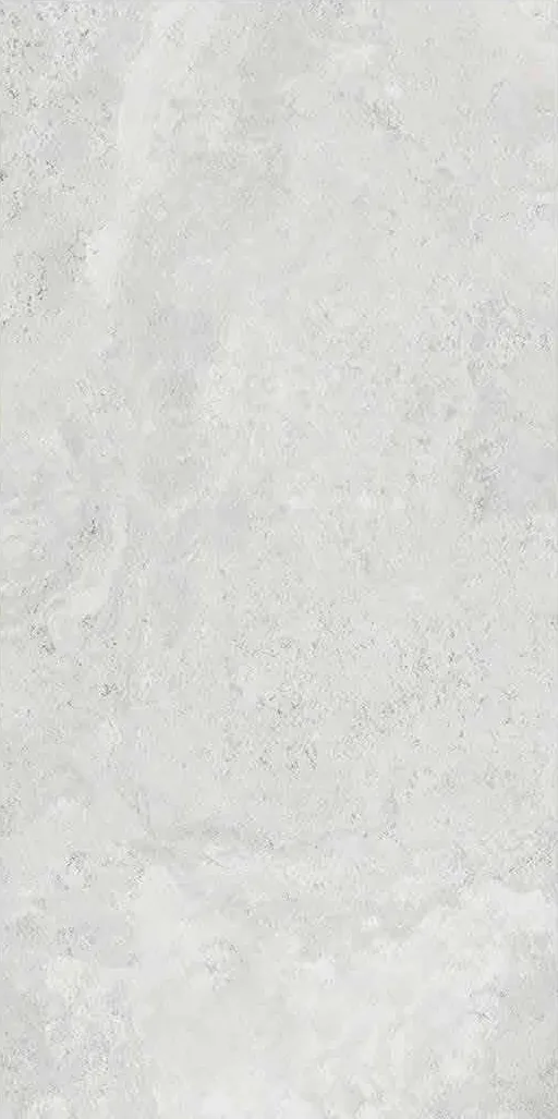 Vittoria Silver 1