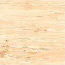 Sal Wood 1