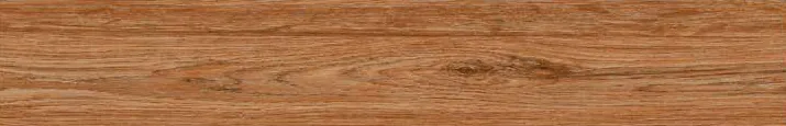 Canarium Brown 1