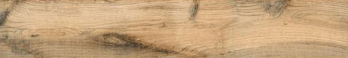 Ginkgo Pine 1