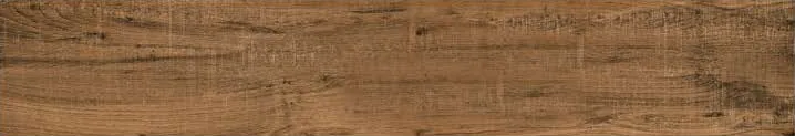 Ginkgo Wenge 1