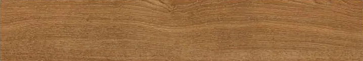 Palm Brown 1