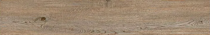 Sisam Oak 1