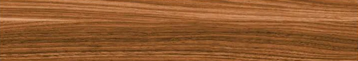 Swamp Brown 1