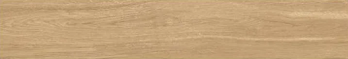 Tulip Pine 1