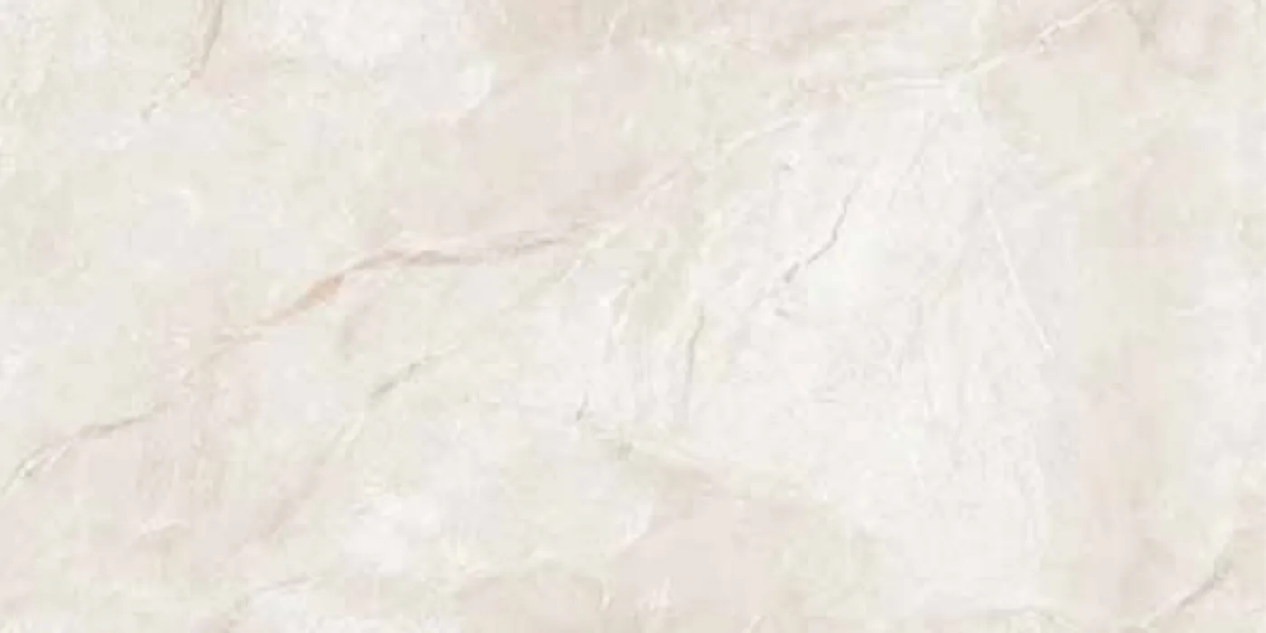 Oyster Latto White 1