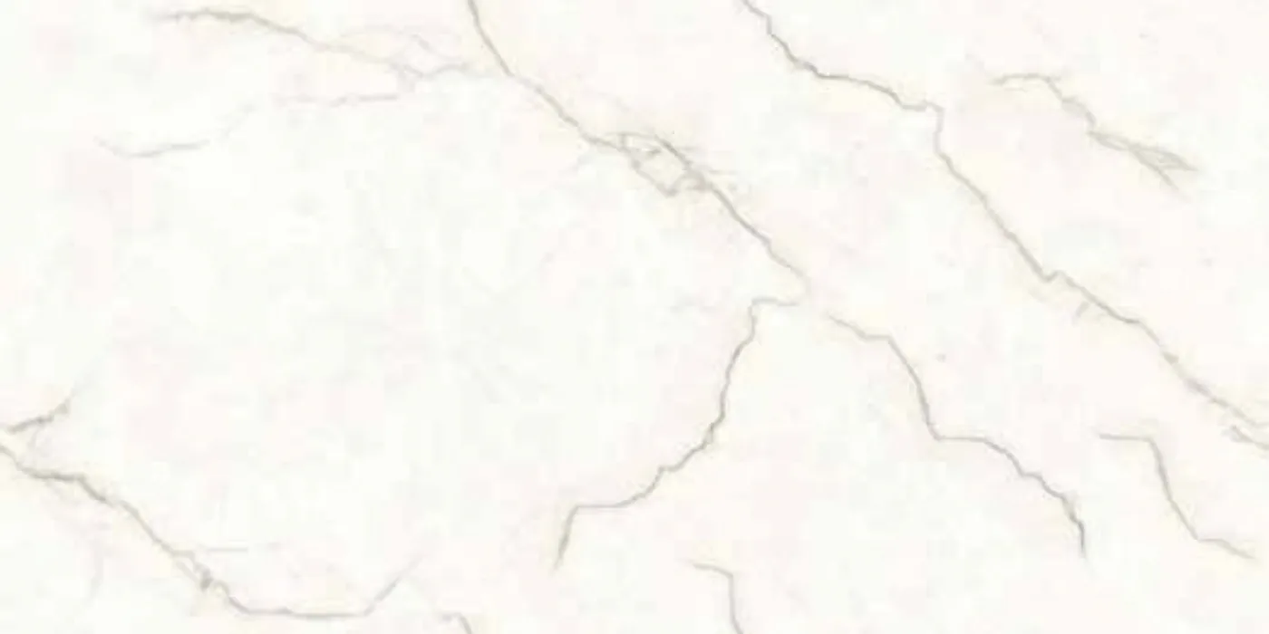 Torso Bianco 1