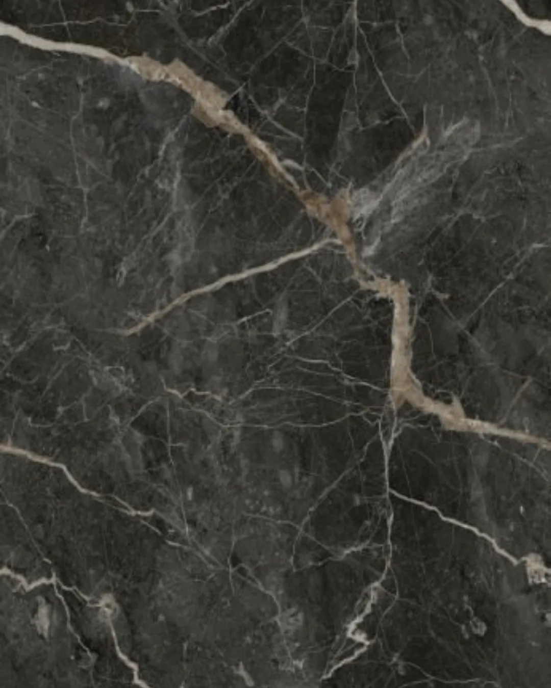 ARBESCA DARK