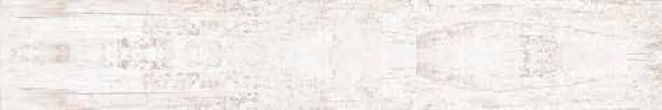 N9 1901