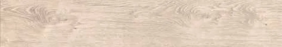 NRC 404