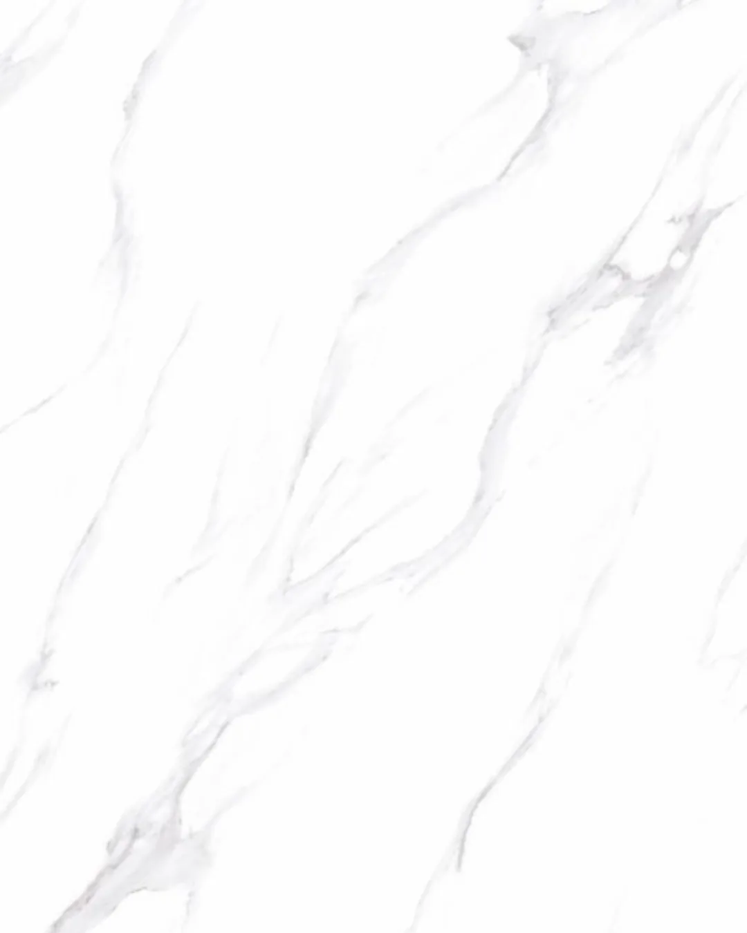 Gloster White